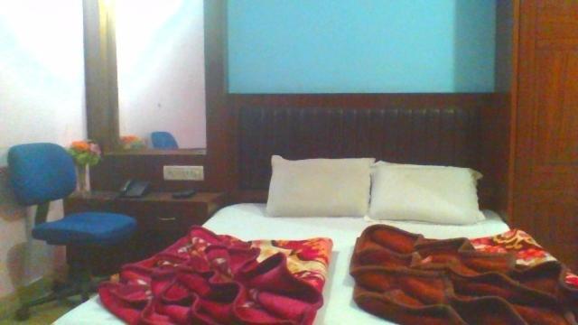 Sahara International Deluxe Hotell New Delhi Rum bild